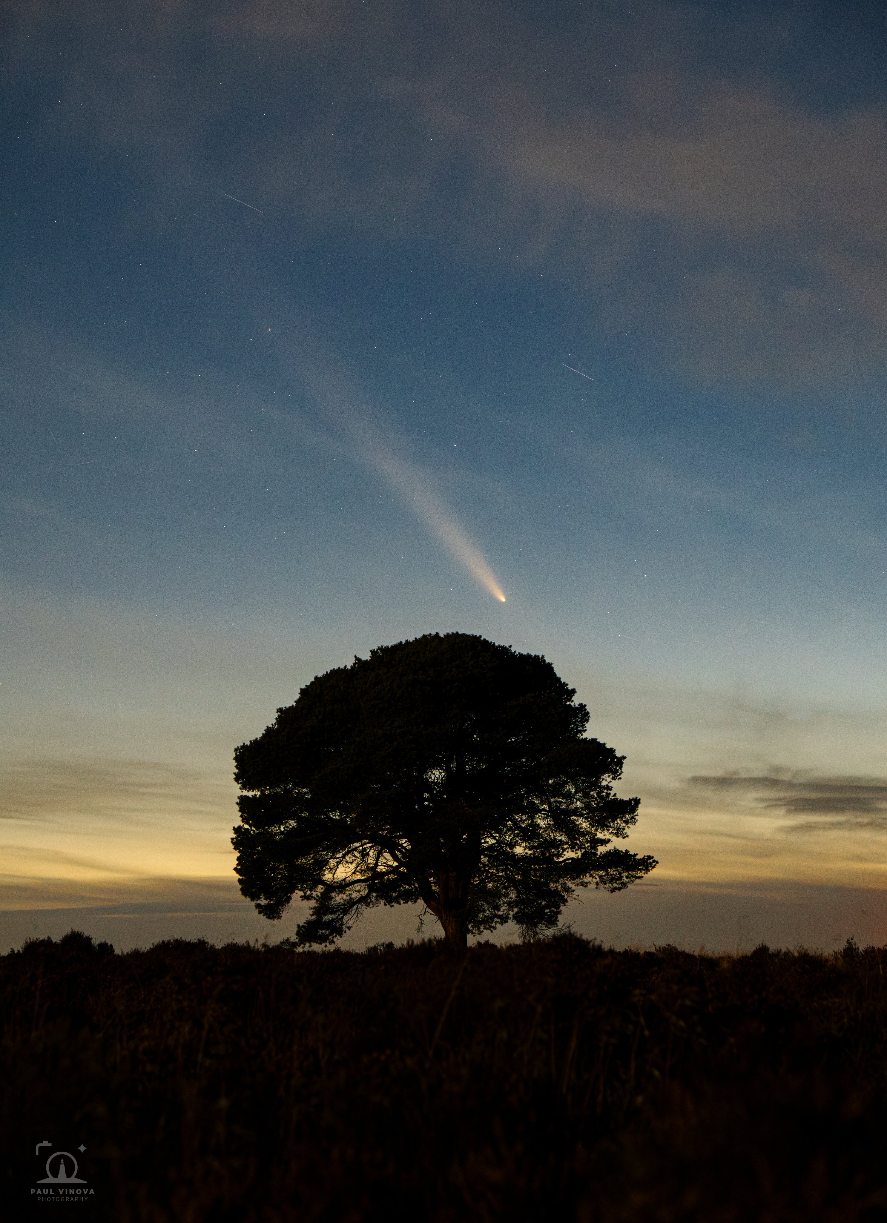 Lone Tree Comet