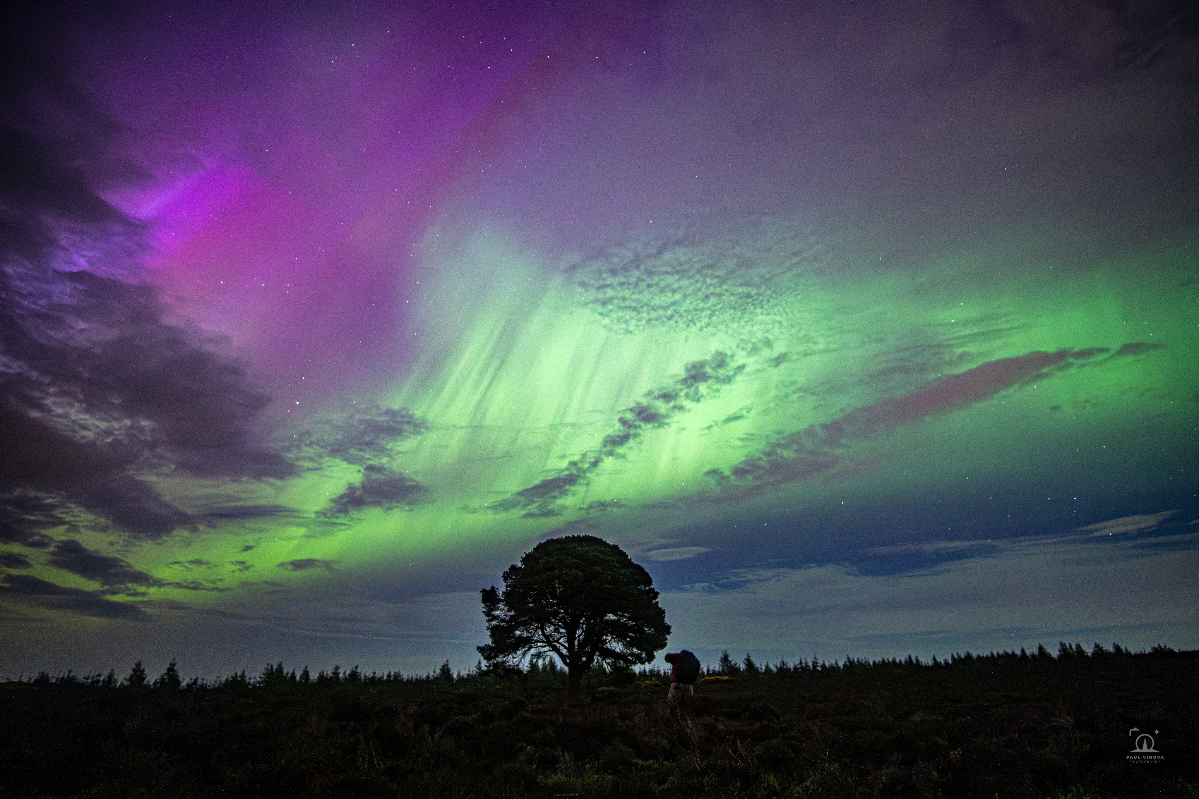 Lone Tree Aurora