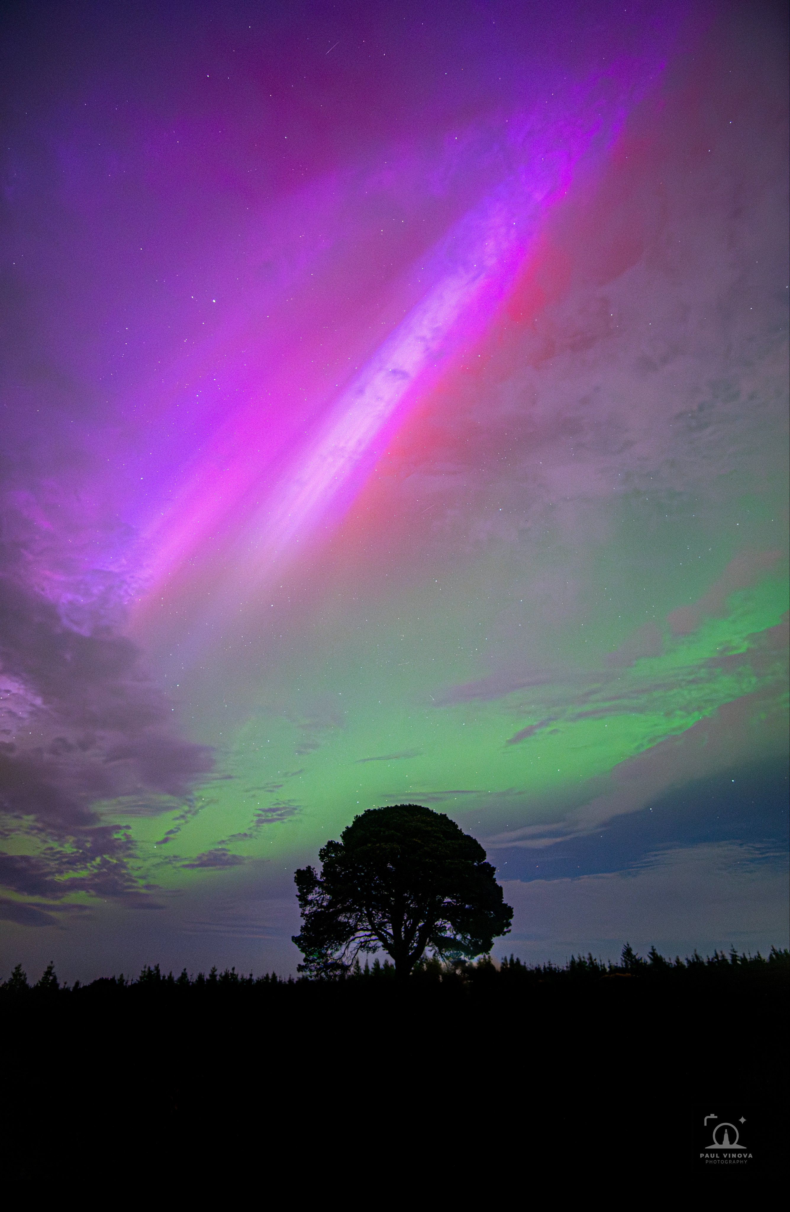 Lone Tree Aurora