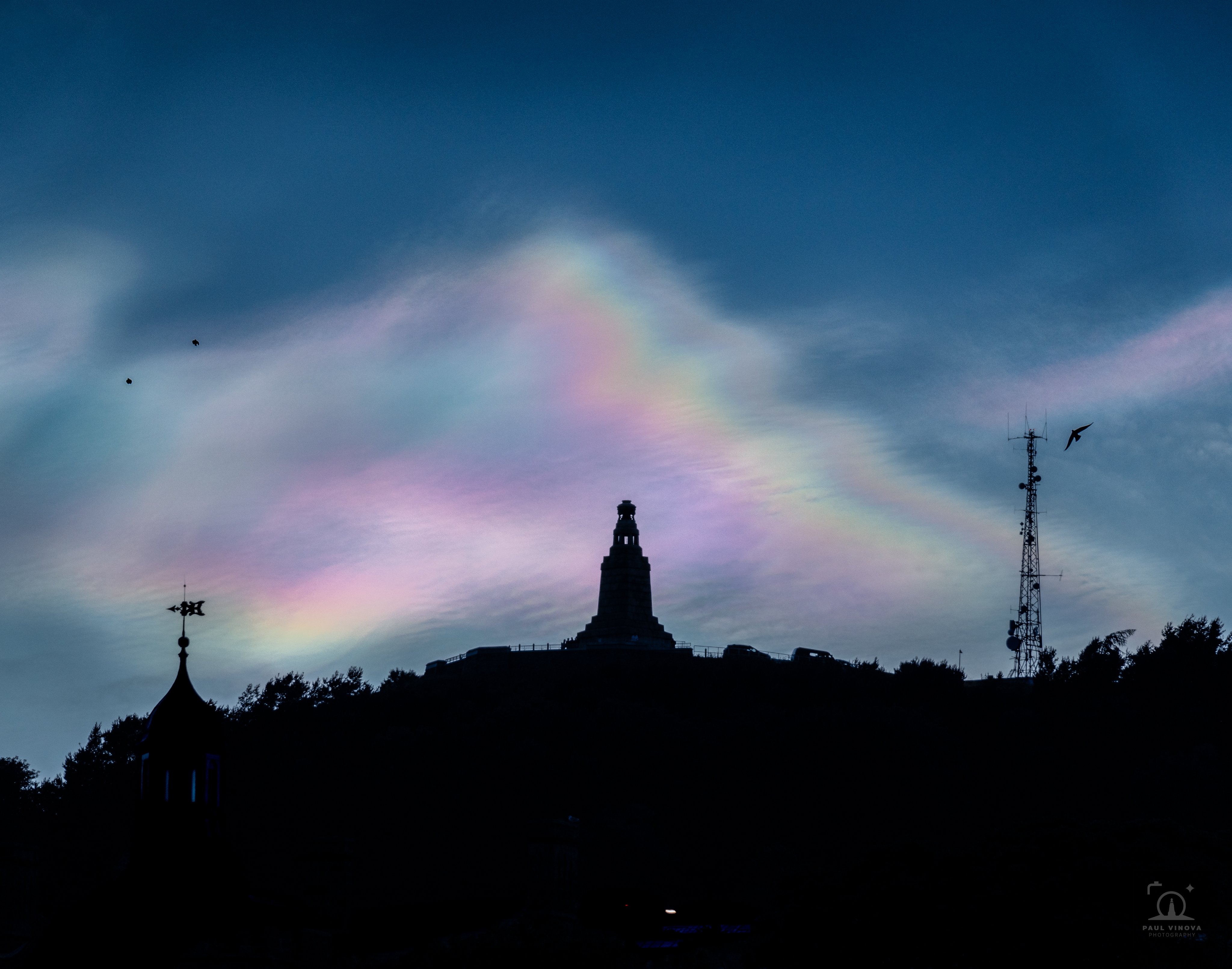 Nacreous Law Silhoutte